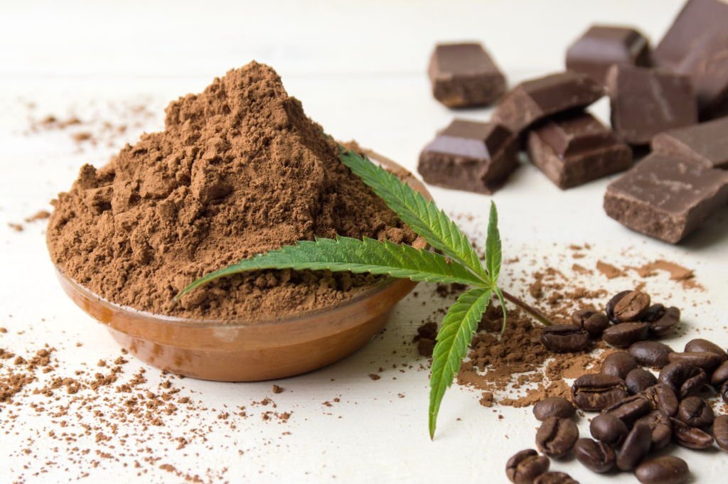 082422030827Downloader.la63063e41b38b1 - Making Cannabis Chocolate for the Holidays